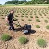 KAPÁLÓGÉP ROTÁCIÓS KAPA AL-KO MH 540 6,5LE AL-KO--196CM3-2*2 kép 5