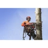 Láncfűrész Husqvarna 545 Mark II kép 4