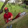 Ágvágó magassági Einhell GC-EC 750T