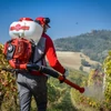 Permetező Háti Motoros Cifarelli L3evo 12liter-77cm3-17m-15m