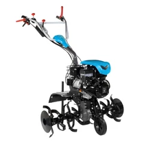 BERTOLINI BT 218 DÍZEL 6,7LE 349CM3