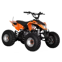 Quad Benzinmotoros Hecht 54125 Orange