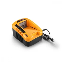 Akkumulátor Töltő Riwall Rac 540 40v 5a  60min/4ah
