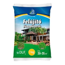 Fűmag Felújító 1kg Tasakos Kite