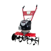 KAPÁLÓGÉP QUANTUM 675 2X3 KAPA BRIGSS MOTOR