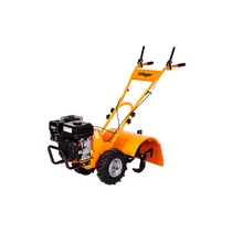 Kapálógép Villager VTB 4811V