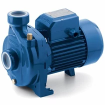 Szivattyú Pedrollo Ngam-1b 220v