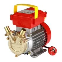 Szivattyú Bor Eem20--rover Be-m20