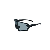Védőszemüveg Scope Skyler Sc-250-S01-0021-EN Sötétített