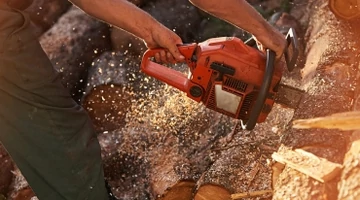 Hogyan segíti az elektromos láncfűrész az őszi kerti munkákat?