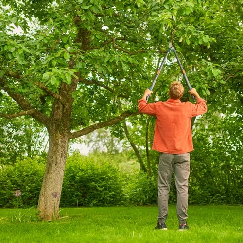 Ágvágó Olló Gardena Teleszkópos TELE Cut Basic 12041-20 kép 6