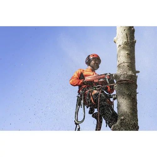 Láncfűrész Husqvarna 545 Mark II kép 4