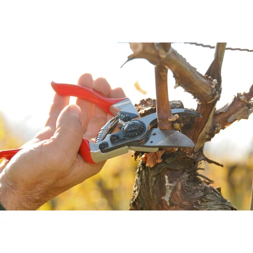 METSZŐOLLÓ FELCO 8 + ÉLEZŐ FELCO 905 kép 3