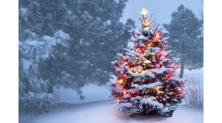 Ünnepi nyitvatartásunk