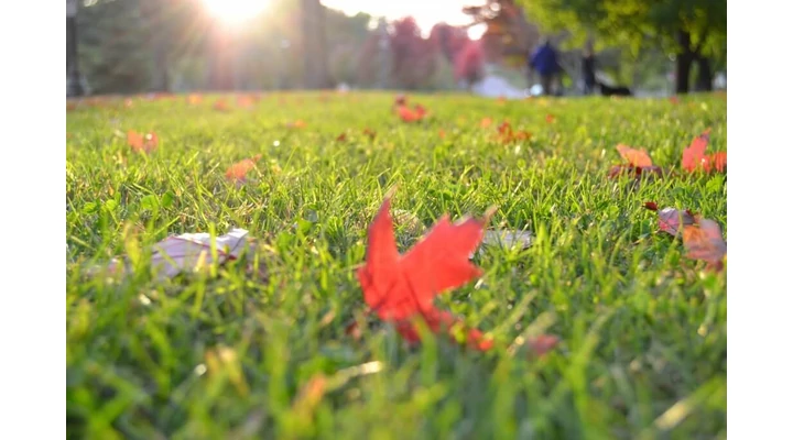 Nyár végére mit ajánlunk?