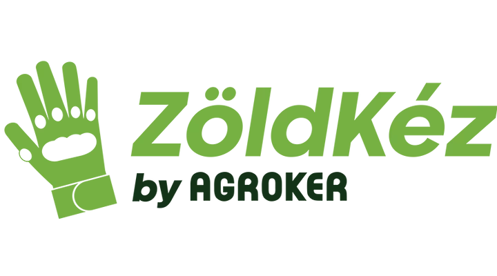 ZOLDKEZ.HU - ELINDULTUNK!